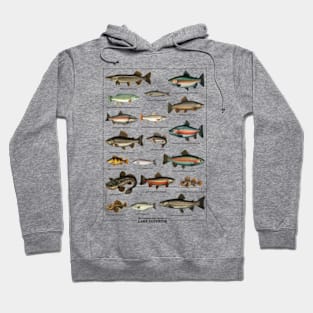 Vintage Lake Superior Fish Species Chart Hoodie